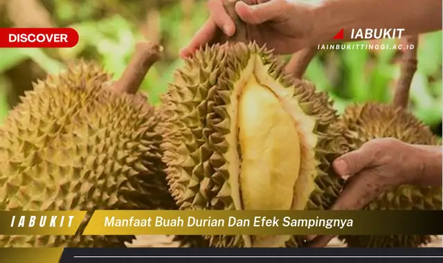 Temukan Manfaat Buah Durian Yang Jarang Diketahui Discover