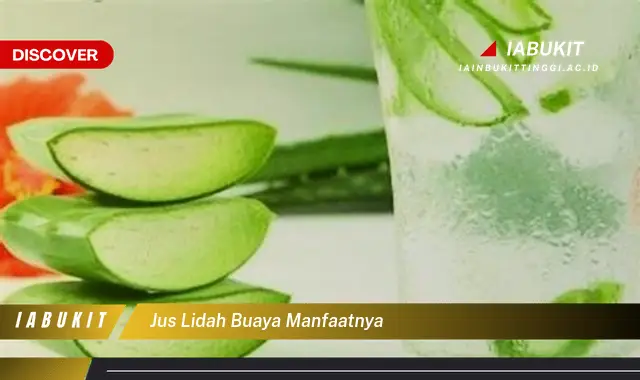 Intip Manfaat Jus Lidah Buaya Yang Wajib Kamu Tahu Discover