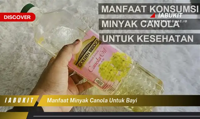 Ketahui Manfaat Minyak Canola Untuk Bayi Yang Jarang Diketahui Bikin