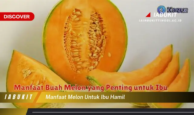 7 Manfaat Buah Melon Untuk Ibu Hamil Yang Jarang Diketahui