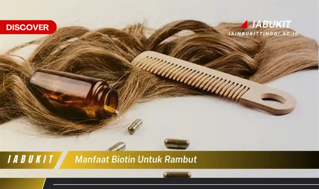 Temukan Manfaat Biotin Untuk Rambut Yang Bikin Kamu Penasaran Discover