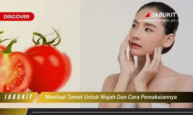 Banyak Yang Belum Tahu Inilah Manfaat Tomat Untuk Wajah Yang Wajib