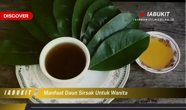 Temukan Manfaat Daun Sirsak Untuk Wanita Yang Wajib Kamu Intip Discover