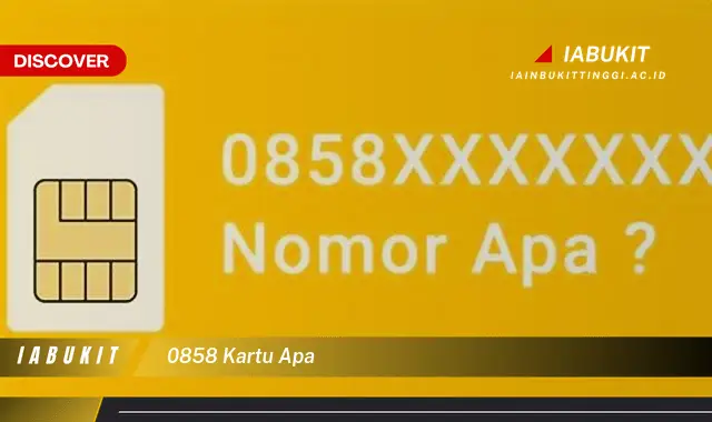 0858 kartu apa 0858 kartu apa
