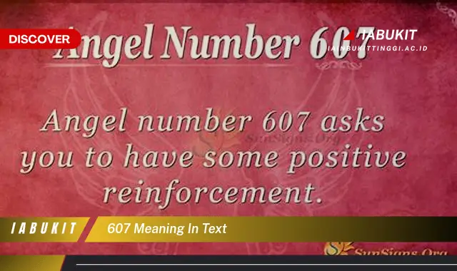 607 meaning in text