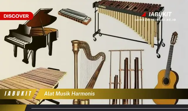 alat musik harmonis