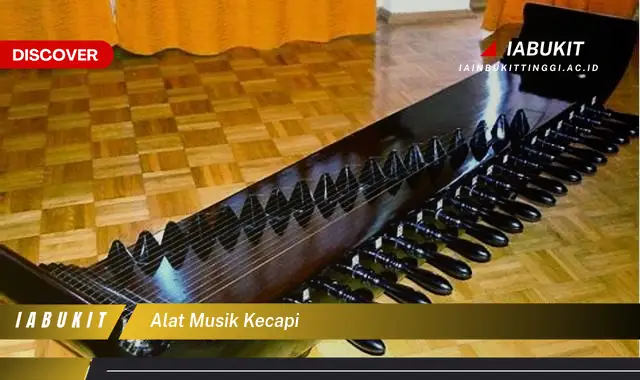 alat musik kecapi