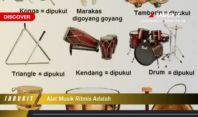 alat musik ritmis adalah