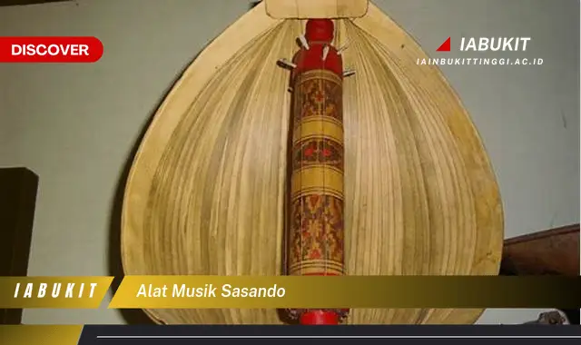 alat musik sasando