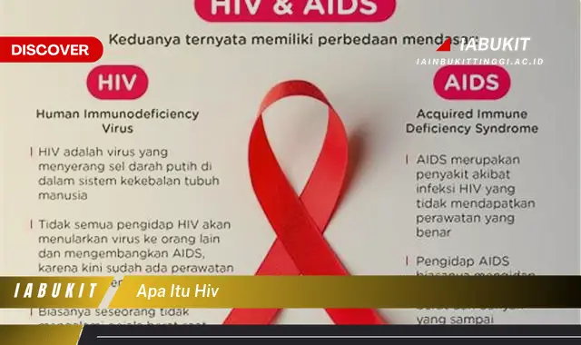 apa itu hiv