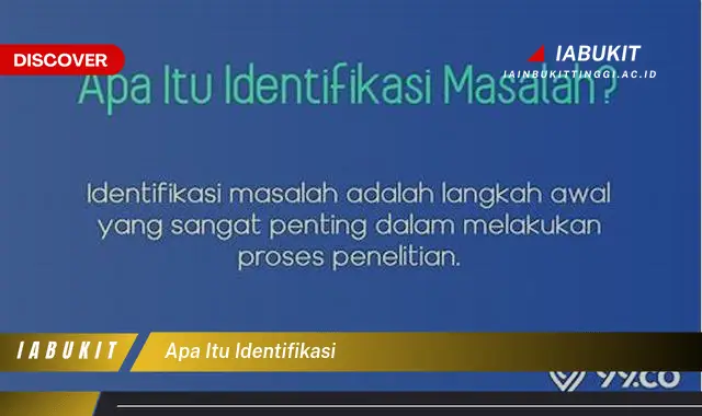 apa itu identifikasi