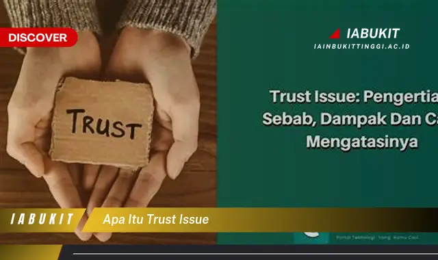 apa itu trust issue