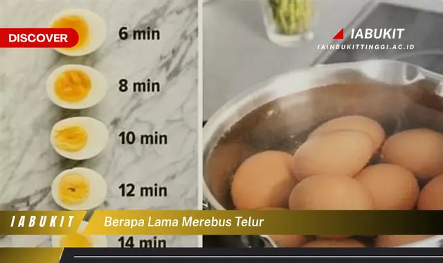 berapa lama merebus telur