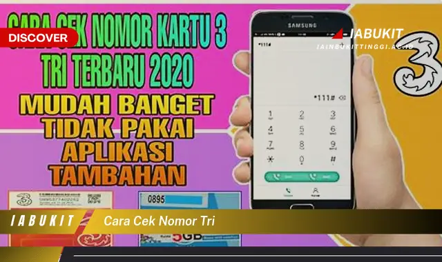 cara cek nomor tri