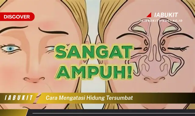 cara mengatasi hidung tersumbat