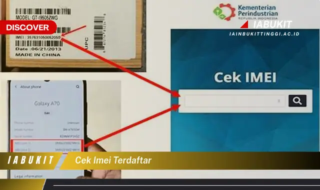 cek imei terdaftar