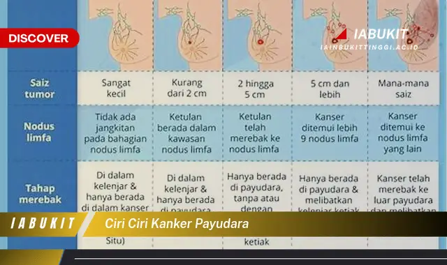 Intip Ciri Ciri Kanker Payudara Yang Bikin Kamu Penasaran