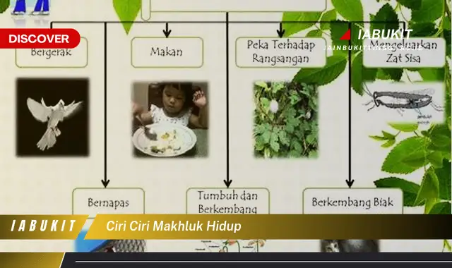 ciri ciri makhluk hidup