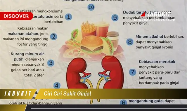 ciri ciri sakit ginjal