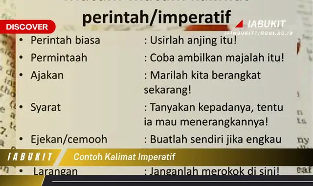 contoh kalimat imperatif