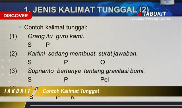 contoh kalimat tunggal