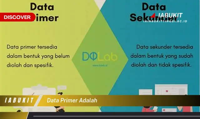 Intip Rahasia Data Primer yang Jarang Diketahui