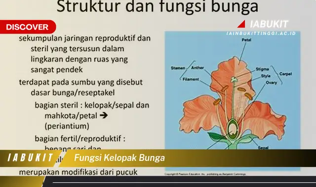 fungsi kelopak bunga