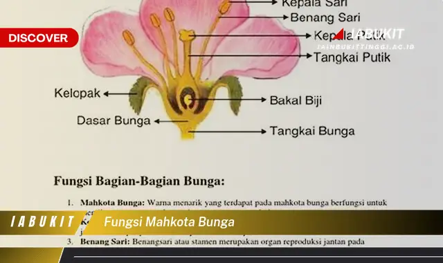 fungsi mahkota bunga