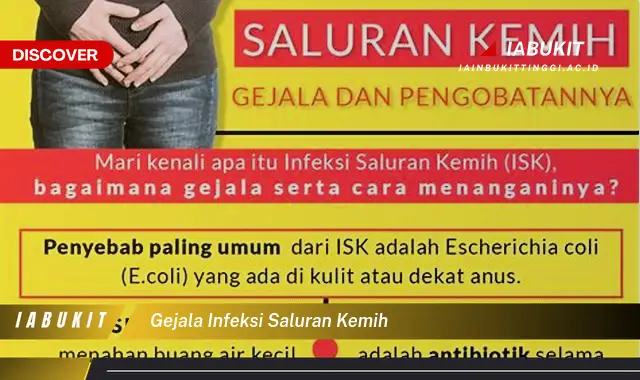 Ketahui Gejala Infeksi Saluran Kemih Yang Bikin Kamu Penasaran