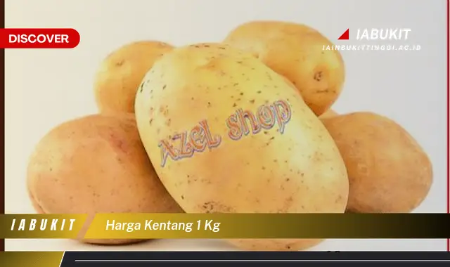 harga kentang 1 kg