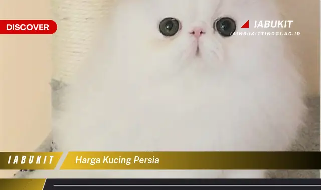 harga kucing persia harga kucing persia