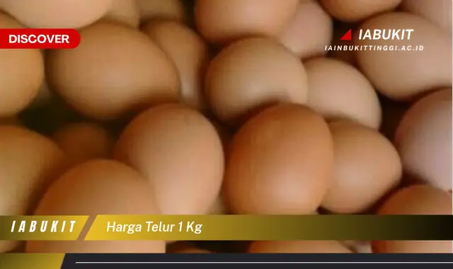 harga telur 1 kg