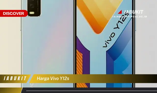 harga vivo y12s