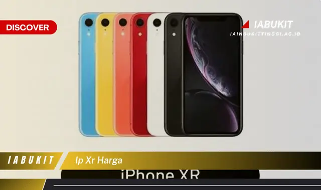 ip xr harga