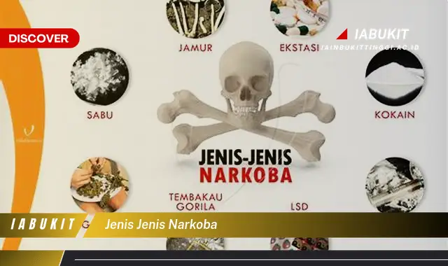 jenis jenis narkoba jenis jenis narkoba