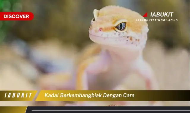 kadal berkembangbiak dengan cara