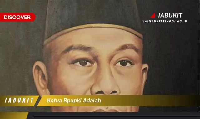 ketua bpupki adalah