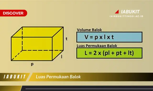 luas permukaan balok