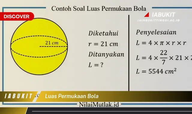 luas permukaan bola