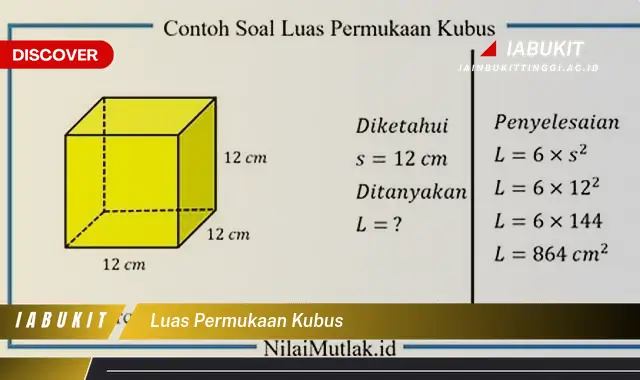 luas permukaan kubus