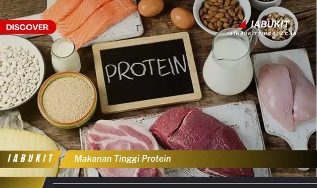 makanan tinggi protein