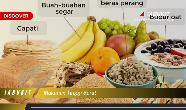 makanan tinggi serat