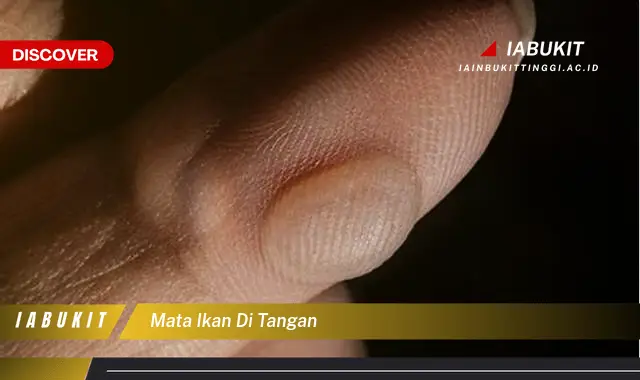 mata ikan di tangan mata ikan di tangan