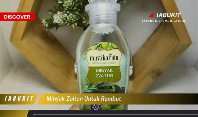 minyak zaitun untuk rambut