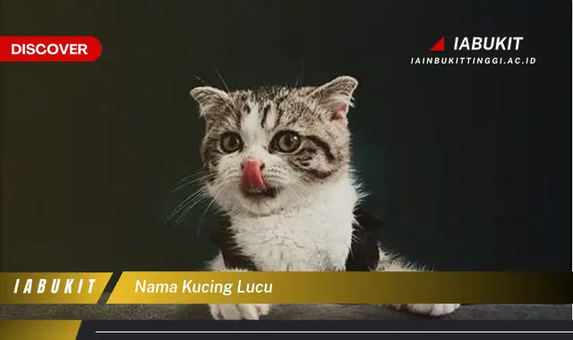 nama kucing lucu