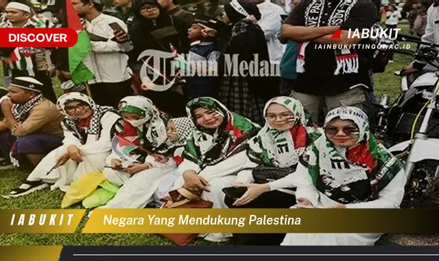 negara yang mendukung palestina