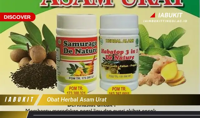 obat herbal asam urat