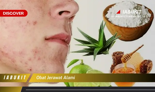 obat jerawat alami obat jerawat alami