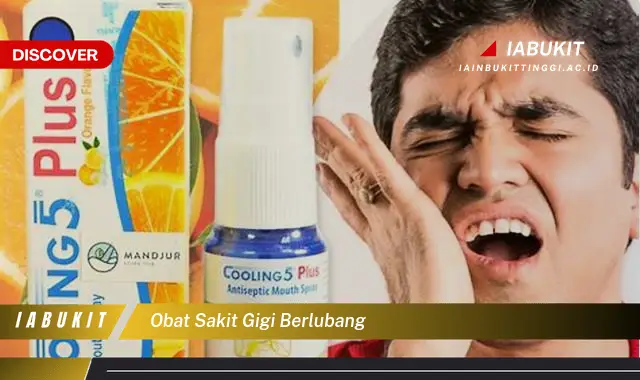 obat sakit gigi berlubang