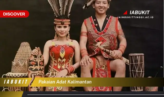 pakaian adat kalimantan